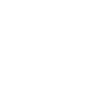 Trauma and Limb Reconstruction icon